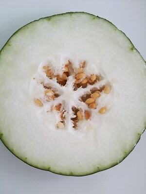Chinese winter melon 