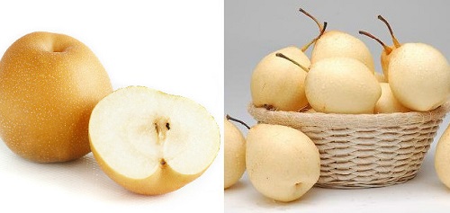 snow pears