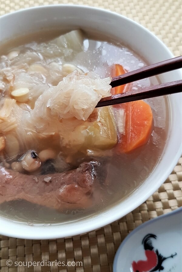 Shark Fin Melon Soup Recipe - Souper Diaries