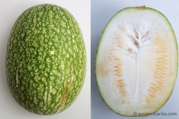 shark's fin melon