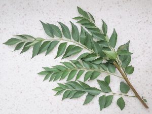 Curry leaves