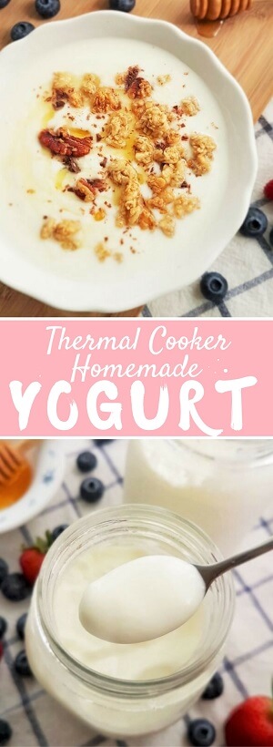 Step-by-Step Homemade Yogurt in a Thermos - Delishably