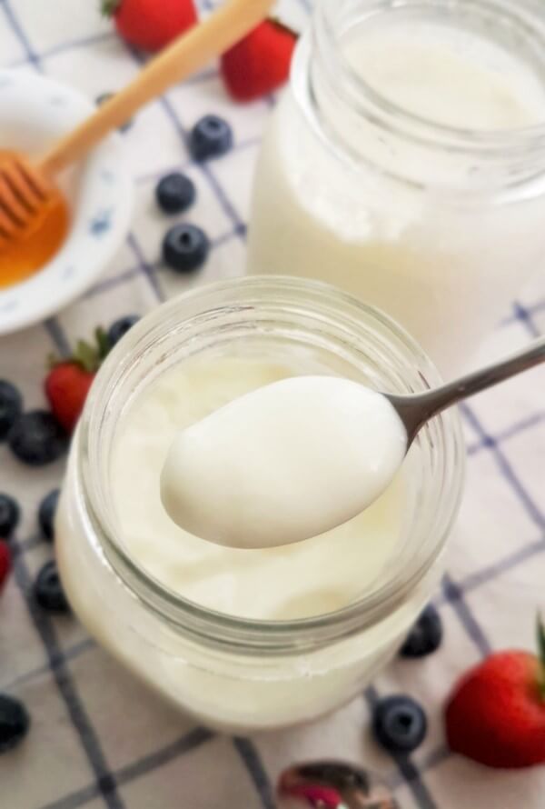 Easy homemade yogurt recipe