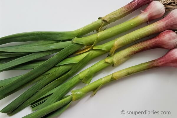 Chinese leeks