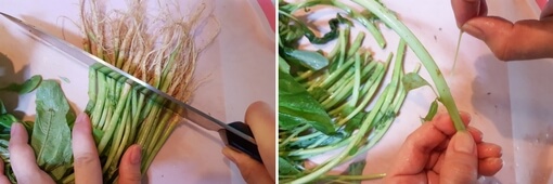 Cutting spinach
