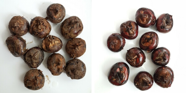 Fresh water chestnuts